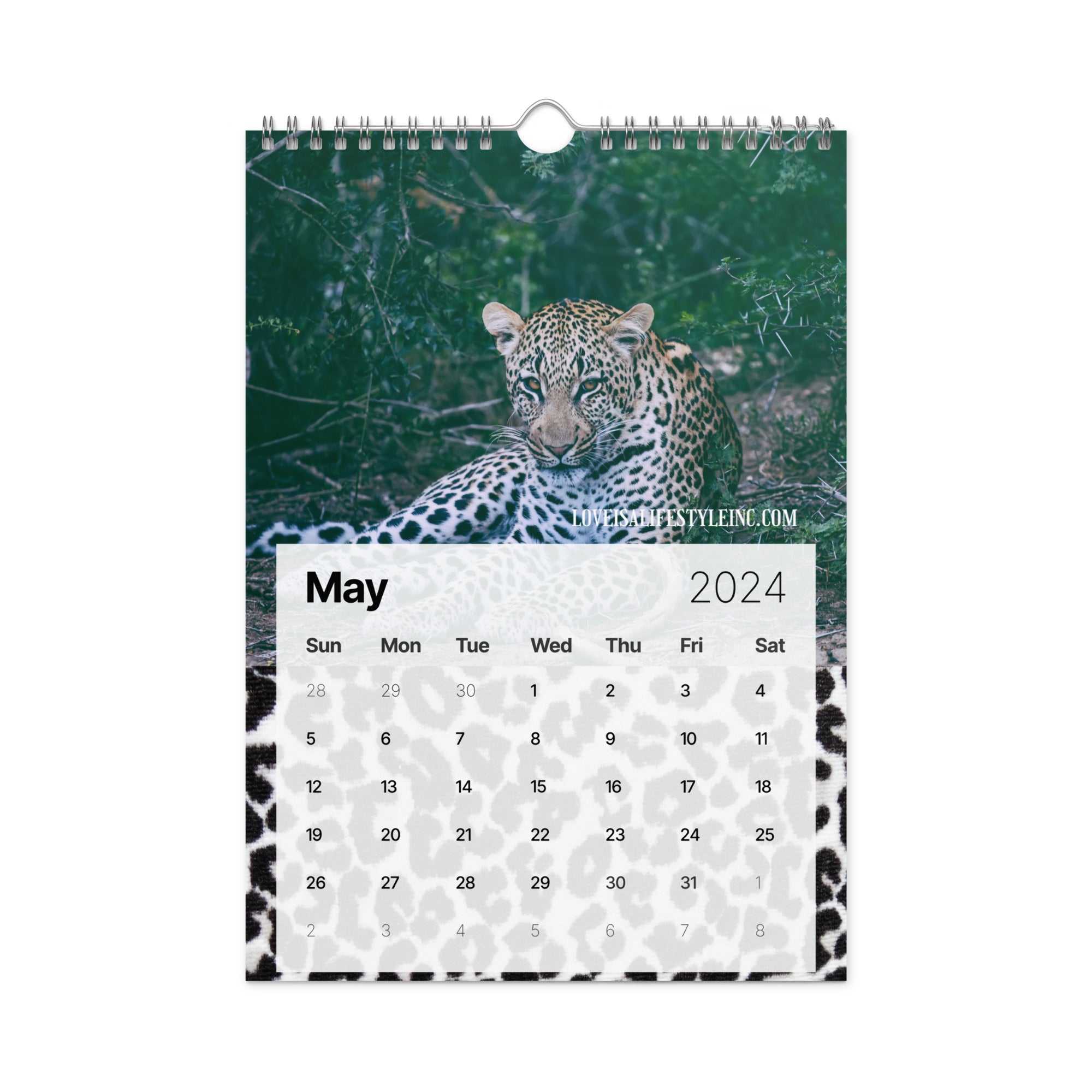 Love Is A Lifestyle Wall Calendar (2024)